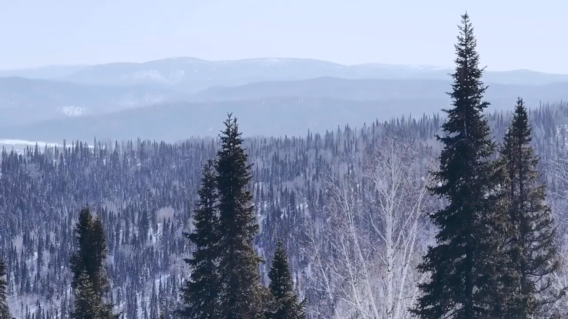 партизанская баня междуреченск телефон (96) фото